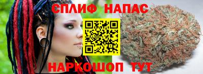 стаф Будённовск