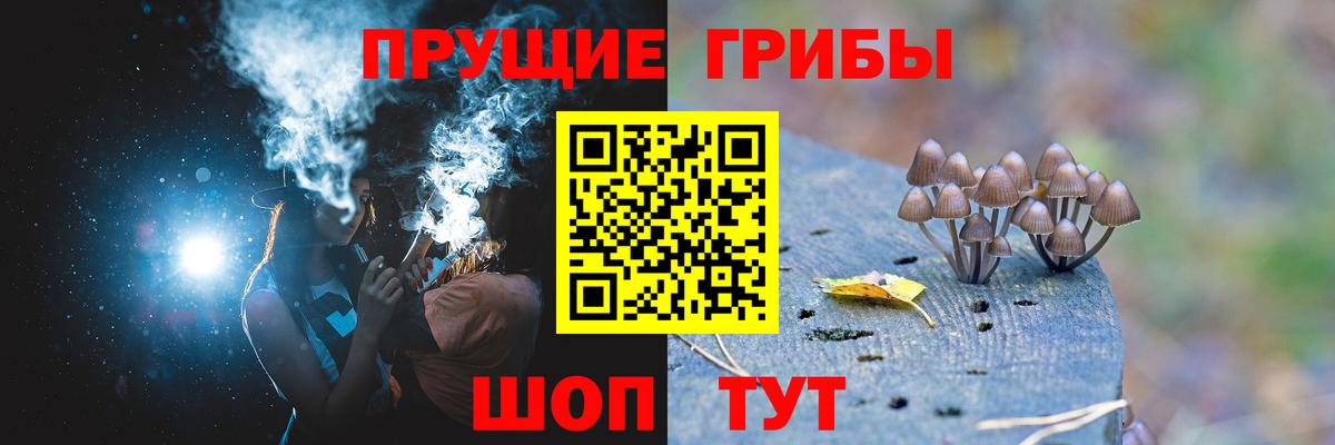 Галлюциногенные грибы MAGIC MUSHROOMS Чернушка