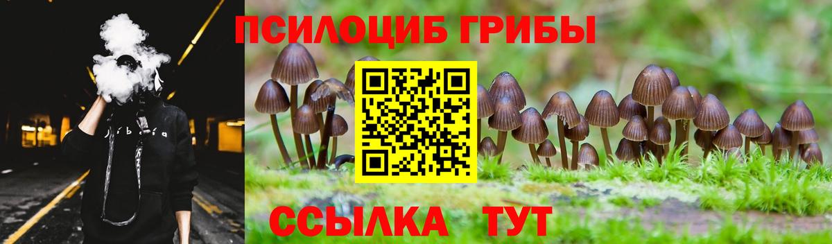 Чернушка  Галлюциногенные грибы ЛСД  Галлюциногенные грибы Cubensis  Вход с VPN 